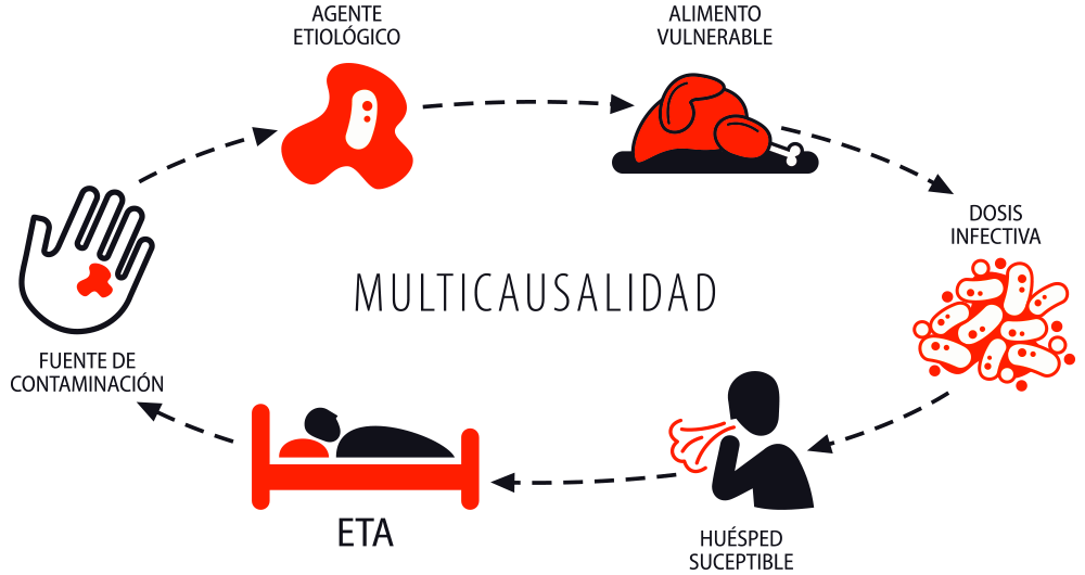 Multicausalidad de las ETA